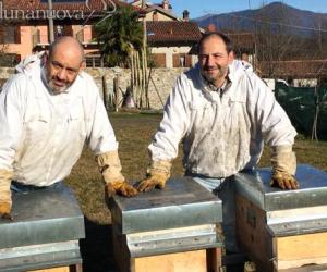Cronache di arnia: la cultura del miele riparte da Girba