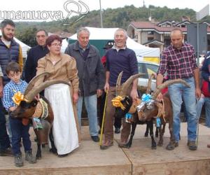 Coazze, la festa rurale del Cevrin fa il botto: folla per capre e prodotti tipici