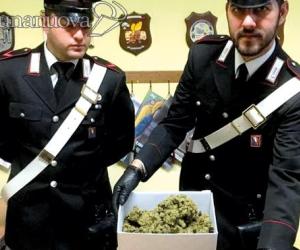 Collegno, spacciatori nel mirino: ora tocca a borgata Paradiso