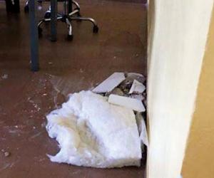 Rivoli, cede un altro controsoffitto al Darwin