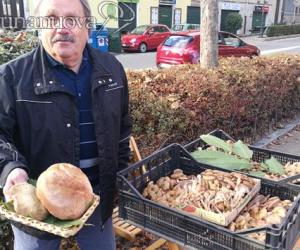 Giaveno, fungo: tanta festa, ma pochi porcini