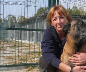 REPORTAGE Cento code: un giorno nel canile tra pappe e sgambate