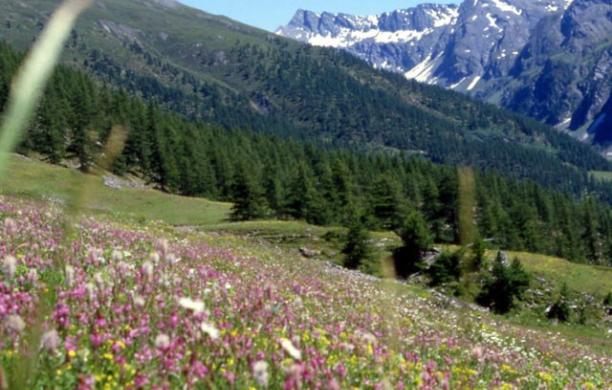 Parco Alpi Cozie, è subito commissariamento