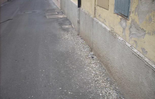 Una strada lordata dai piccioni