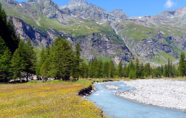 Pian della Mussa