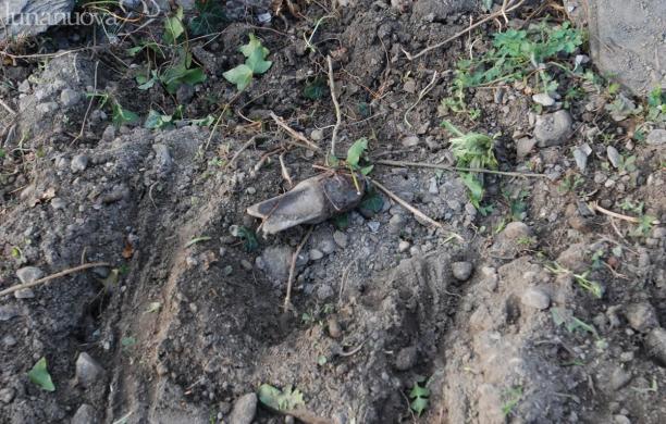 È primavera, spuntano i residuati bellici
