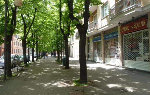 Negozi chiusi sul viale