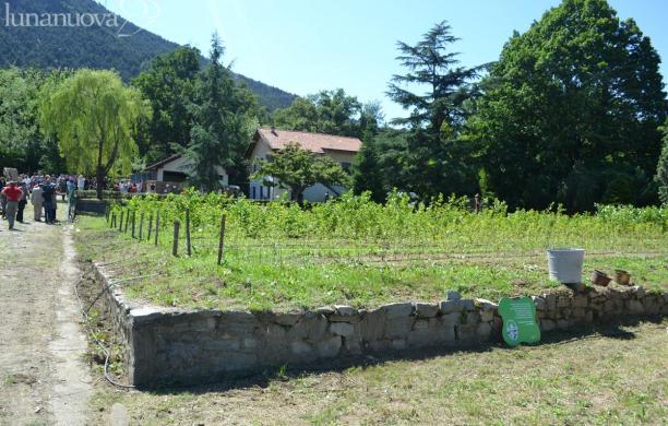 Il parco del monte San Giorgio