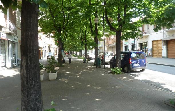 Viale XXIV Maggio