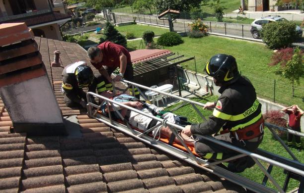 Punto da una vespa: shock anafilattico sul tetto di casa