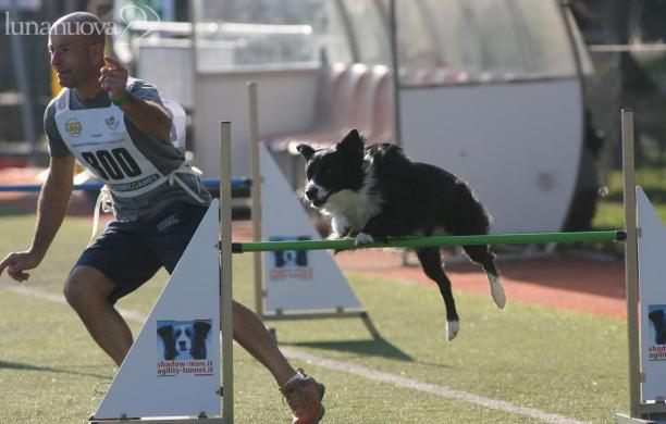 Agility-dog: Luca e Maggie sul tetto del mondo