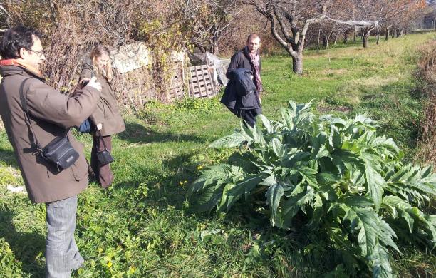 Lacrimogeni, sopralluogo Asl negli orti di San Giuliano