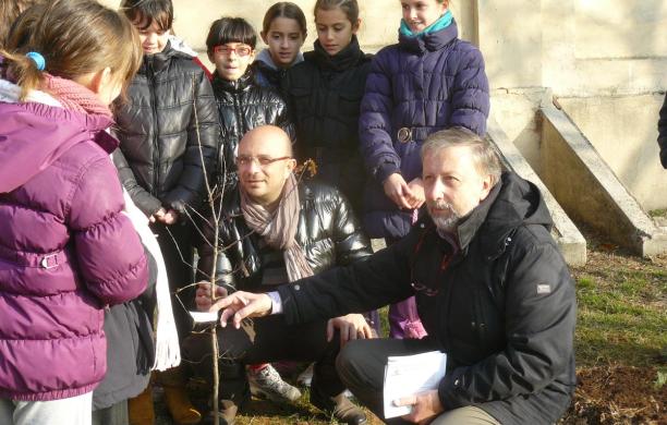 Vivaio alla Casa del sole: i custodi saranno gli alunni