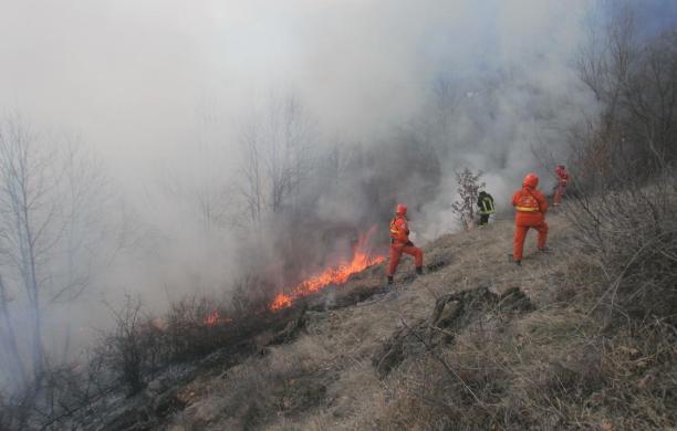 Boschi in fiamme sulla collina della Seja