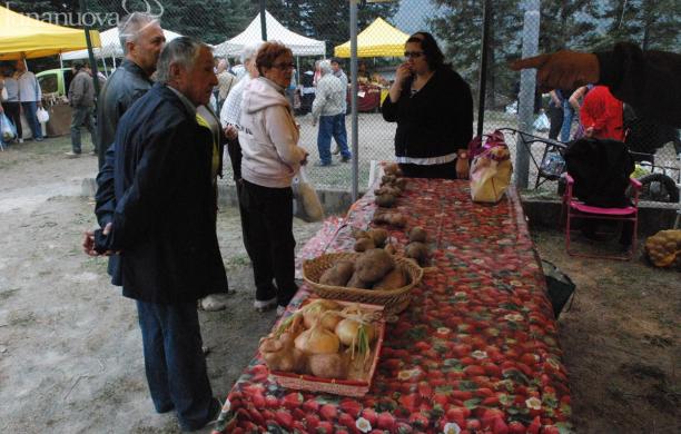 La patata si fa in due tra Sauze d'Oulx e Novalesa