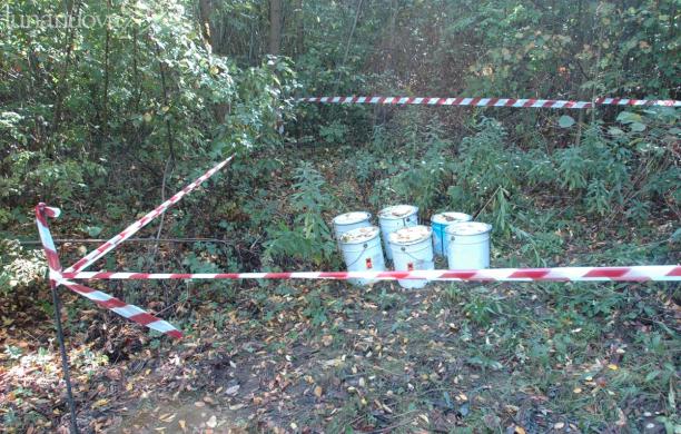 Rifiuti tossici abbandonati nel castagneto