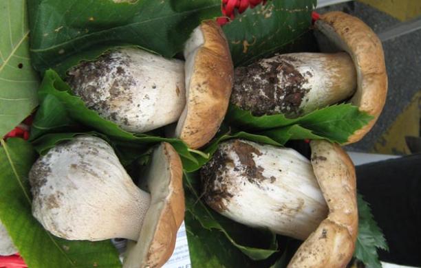 Sagre nelle valli: tocca a Giaveno, Almese e Oulx
