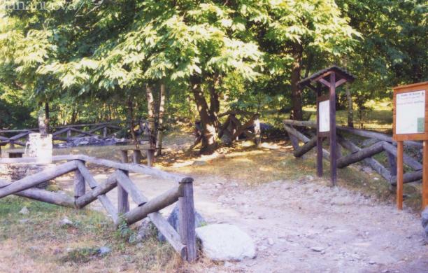 Un sentiero tra castagneti e cave di pietra