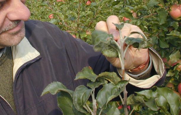 L'agricoltura per recuperare i disabili