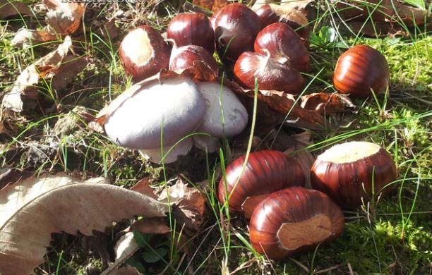 Ancora un tris per gli amanti del gusto