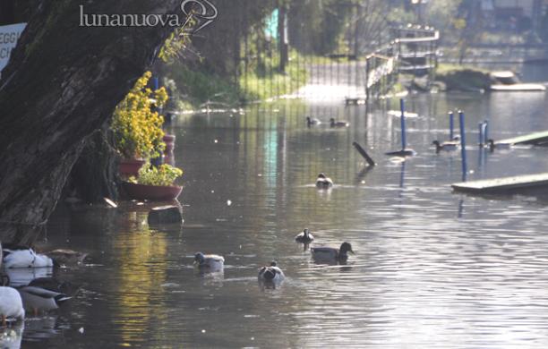 Naviglia e fogne: rischio collasso?