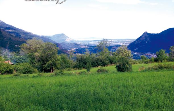 Terreni agricoli, la mannaia già a gennaio