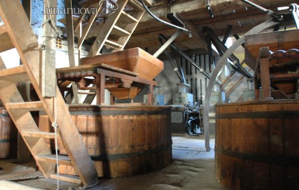 Mulino Varesio: la storia del grano ora può ripartire