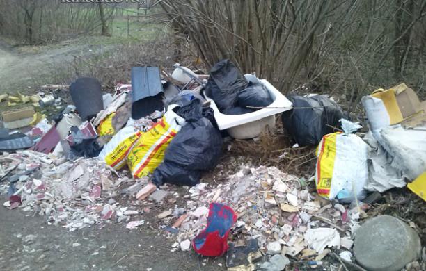 Discarica selvaggia: i colpevoli dovranno ripulire