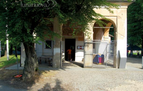 Fungo mortale, abbattuto l'albero