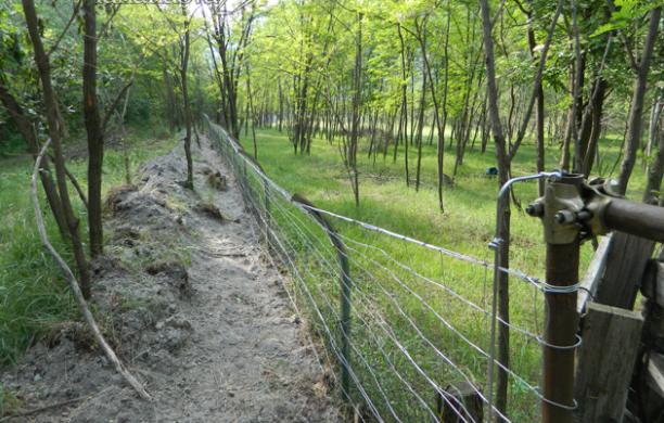 Ex Polveriera, arrivano i pascoli al posto degli orti urbani