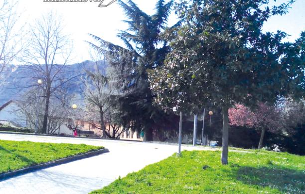 Decoro urbano: «I cittadini aiutino il Comune»