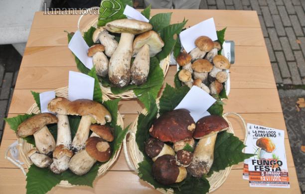Tessera funghi, per i boulajour: in valle niente sconto