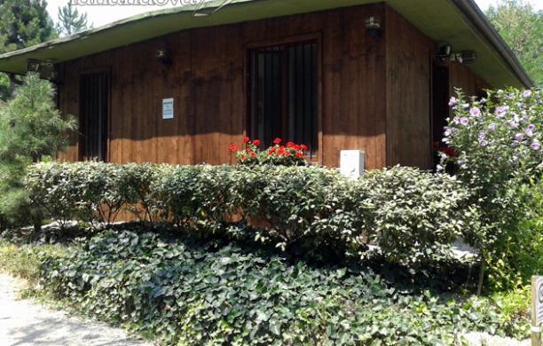 Comune e cooperativa ai ferri corti per l'ippoterapia del San Giorgio