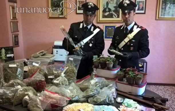 Coltiva due serre di marijuana: arrestato