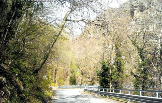 Condove, taglio delle piante: ultimatum per i proprietari