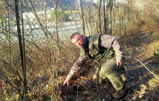 S.Giorio: faccia a faccia con il lupo in riva alla Dora