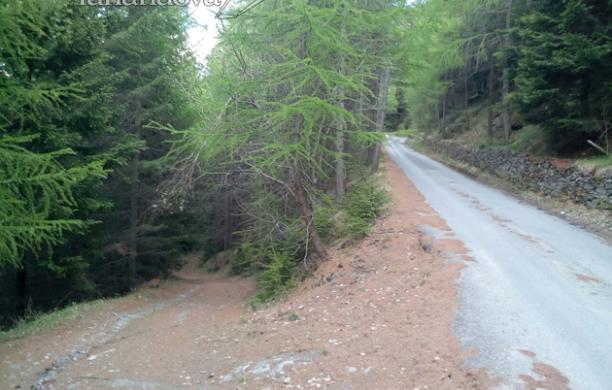 Silvia ritrovata morta nel bosco sulla strada che da Oulx sale al Cotolivier