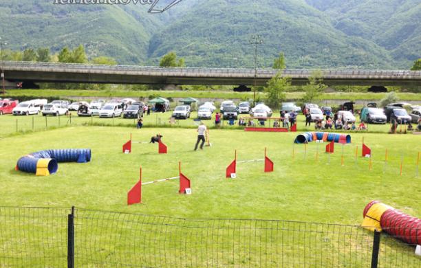 Ultime "Orme" a Borgone: ora i cani devono traslocare