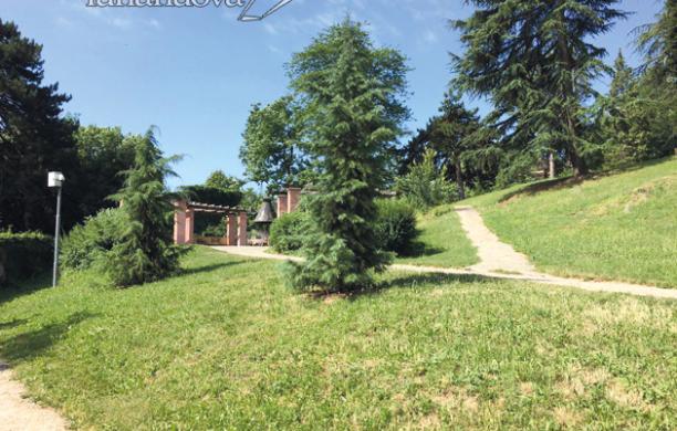 Rivoli, patto Comune-Legambiente per gli alberi 