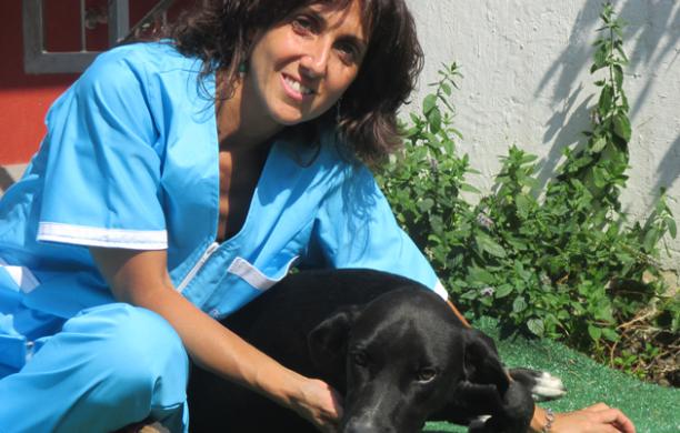 Villardora, Angelo e Denise: la storia di un cane salvato dalla strada