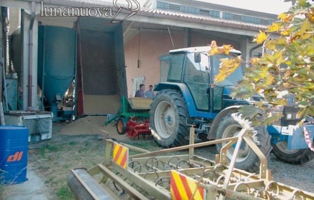 Grugliasco, non ce l'ha fatta l'agricoltore travolto da un rimorchio carico di grano