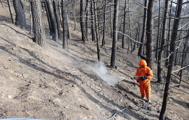 All'Unione montana la regia del post-incendi: intesa tra i sindaci