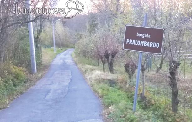 Bussoleno: cade dal castagno e muore sul colpo battendo la testa
