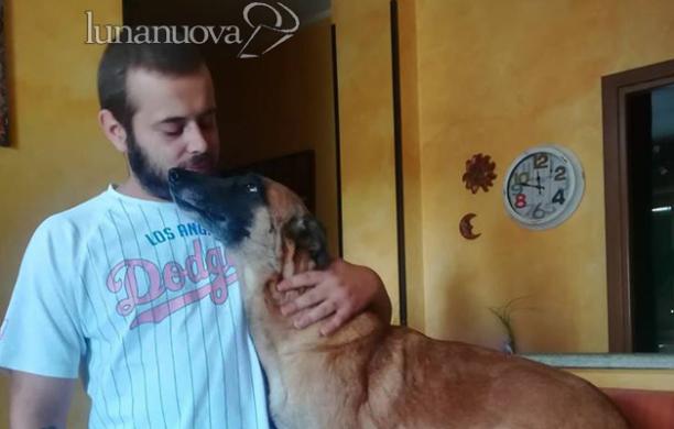 Rivoli, addestratore sbranato dal cane? «Ipotesi poco plausibile»