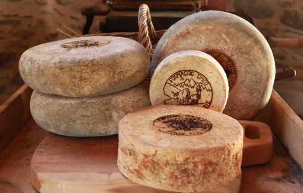 Il formaggio valsusino adesso va a caccia di turisti