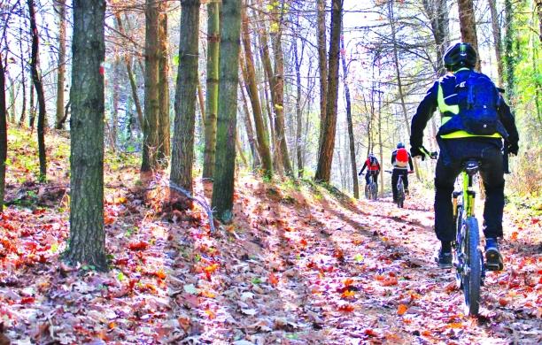 Segnaletica ciclabile: ecco "l’abaco" per la bassa valle