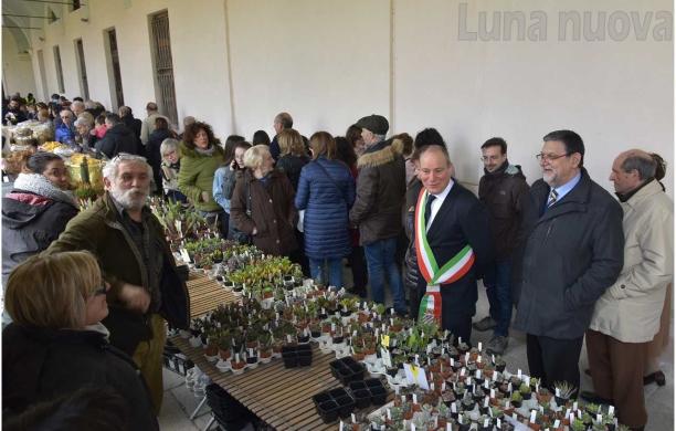 Collegno,  la primavera tarda ma 'Follia in fiore' sboccia lo stesso