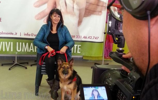 Grugliasco, la pet therapy diventa un reality in tivù