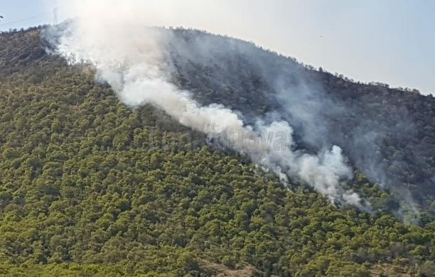 Caselette: vasto incendio sulle pendici del Musinè
