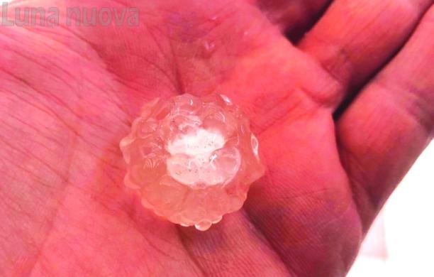 Rivoli e Alpignano sotto una fitta grandinata